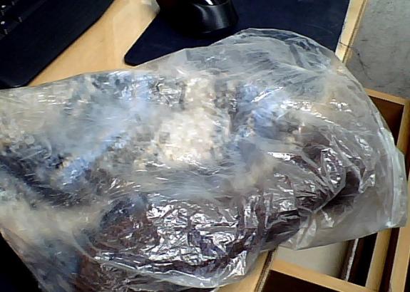 니트 모자 습득