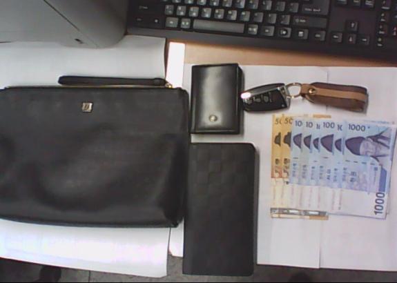 루이까또즈 파우치백