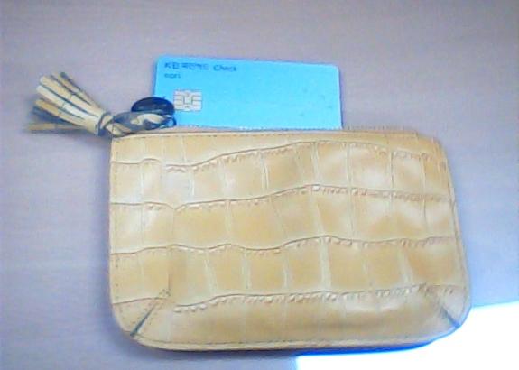 노란색 지갑(국민체크카드 포함)