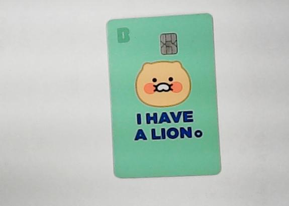 카카오 체크카드