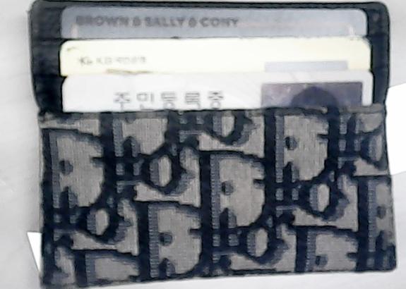 디올 카드지갑